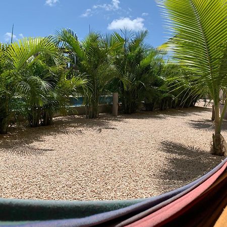 Isla Penthouse & Garden Apartments Bonaire คราเลนไดค์ ภายนอก รูปภาพ