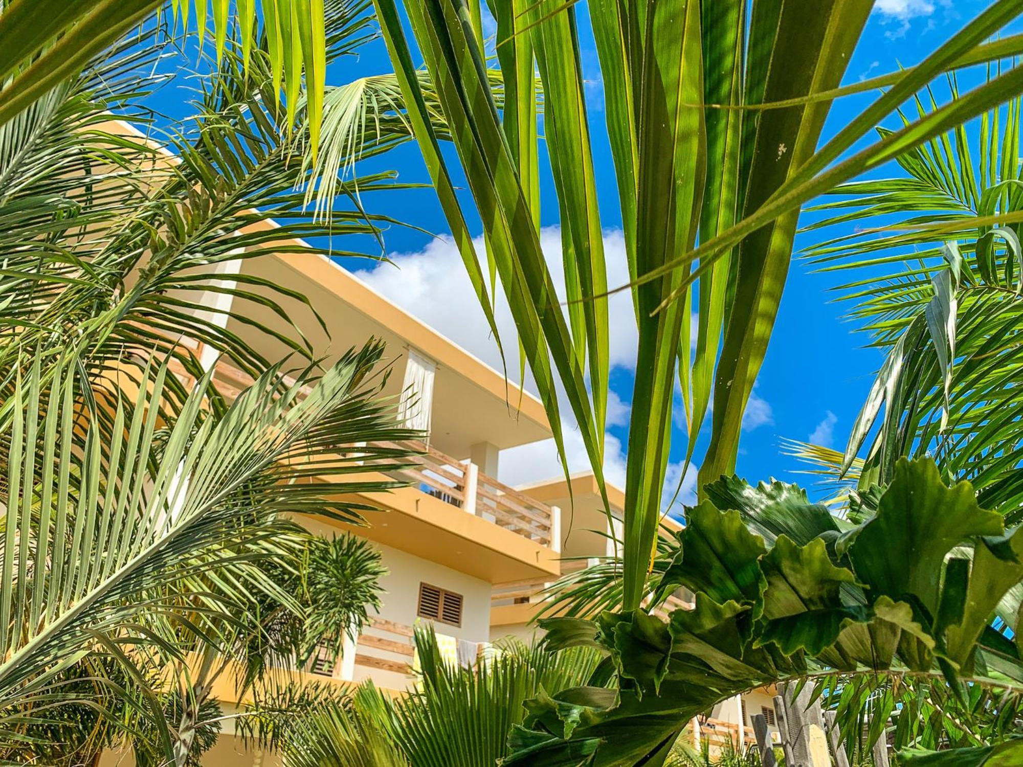 Isla Penthouse & Garden Apartments Bonaire คราเลนไดค์ ภายนอก รูปภาพ