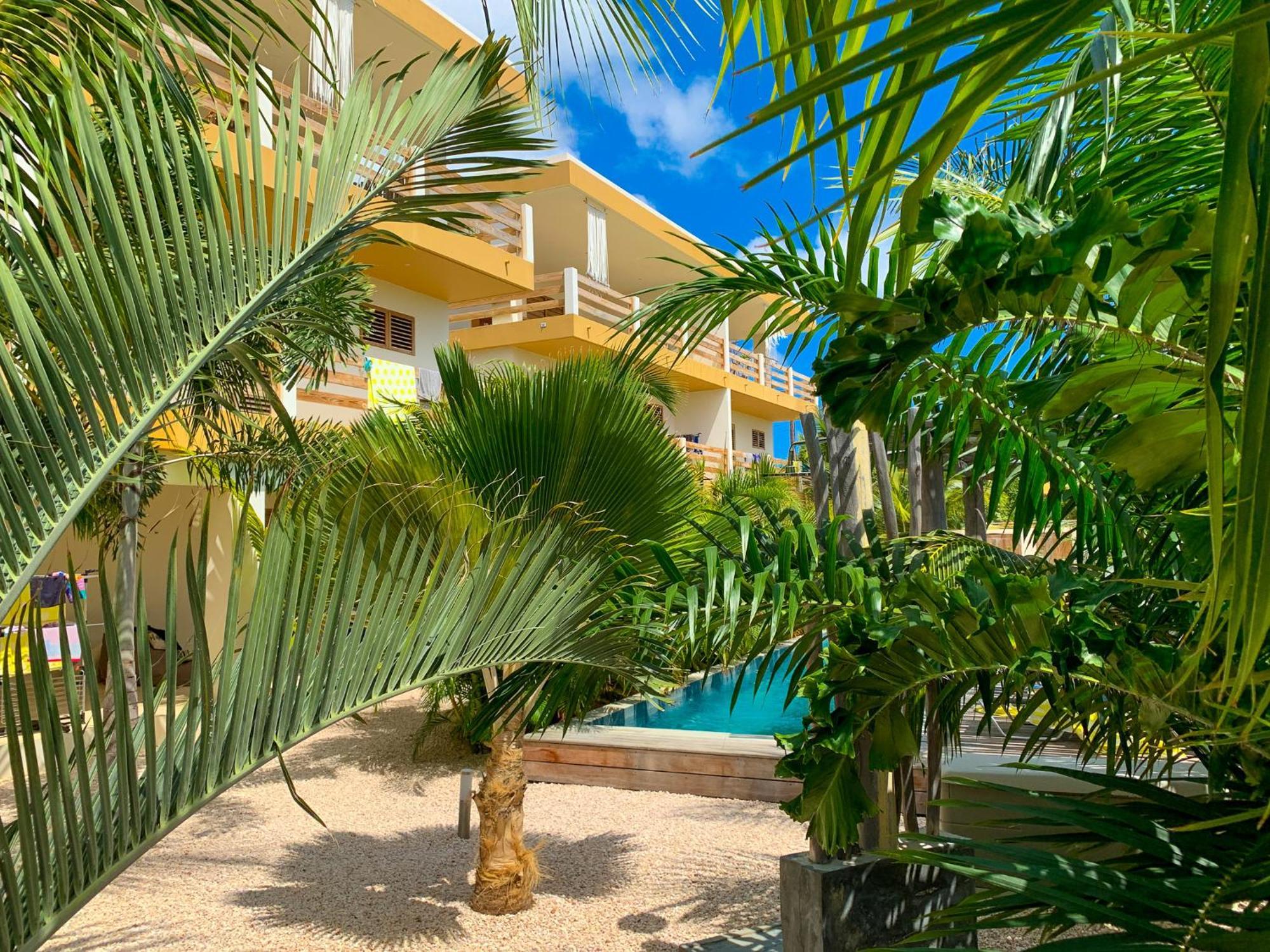 Isla Penthouse & Garden Apartments Bonaire คราเลนไดค์ ภายนอก รูปภาพ