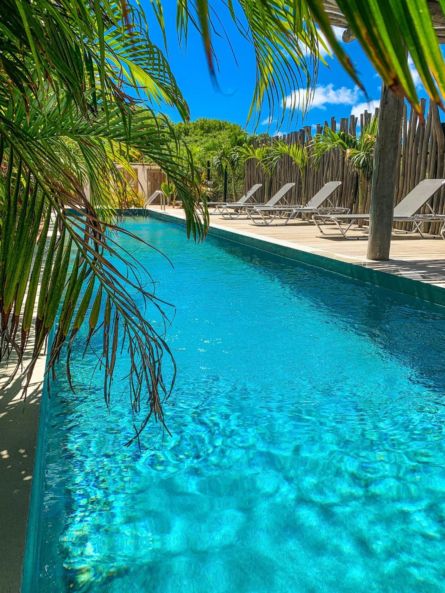 Isla Penthouse & Garden Apartments Bonaire คราเลนไดค์ ภายนอก รูปภาพ